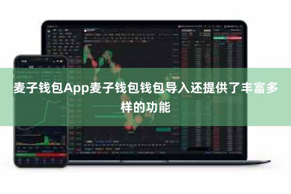 麦子钱包App麦子钱包钱包导入还提供了丰富多样的功能