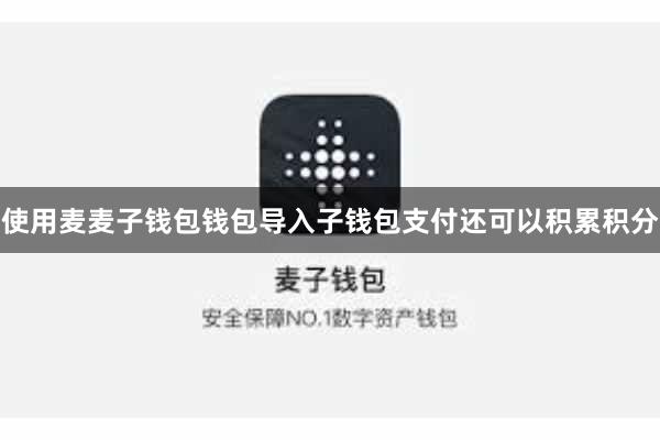 使用麦麦子钱包钱包导入子钱包支付还可以积累积分