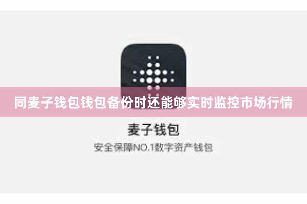 同麦子钱包钱包备份时还能够实时监控市场行情