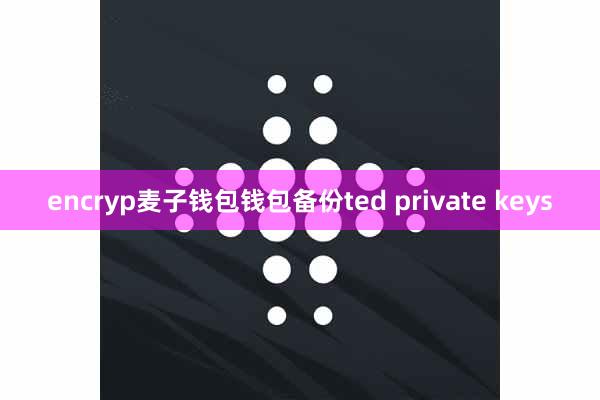 encryp麦子钱包钱包备份ted private keys