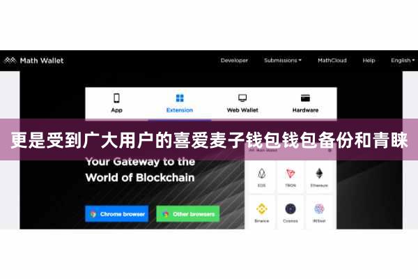 更是受到广大用户的喜爱麦子钱包钱包备份和青睐