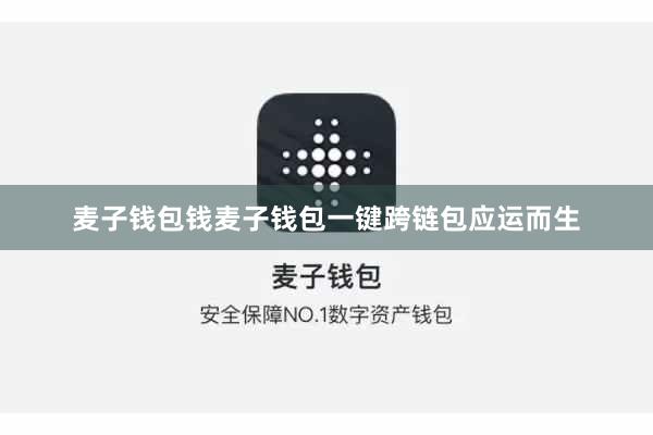 麦子钱包钱麦子钱包一键跨链包应运而生