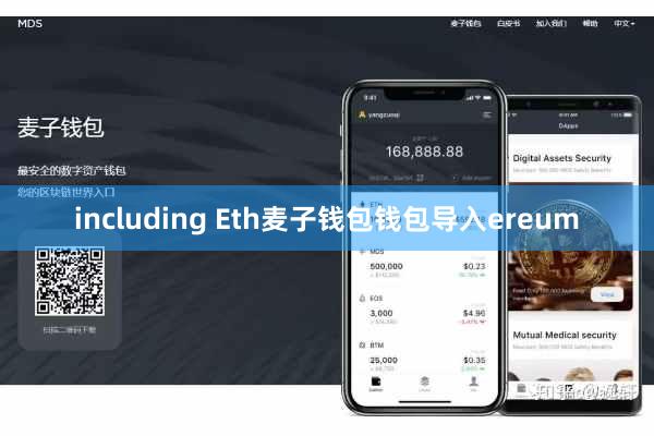 including Eth麦子钱包钱包导入ereum