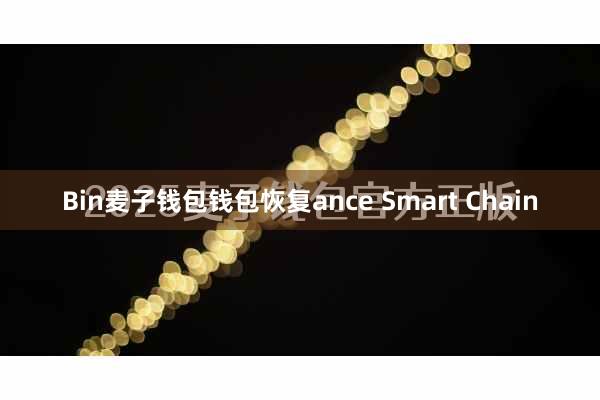 Bin麦子钱包钱包恢复ance Smart Chain