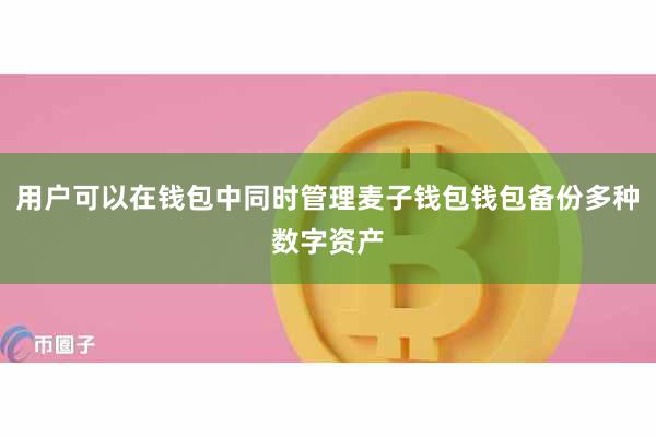 用户可以在钱包中同时管理麦子钱包钱包备份多种数字资产