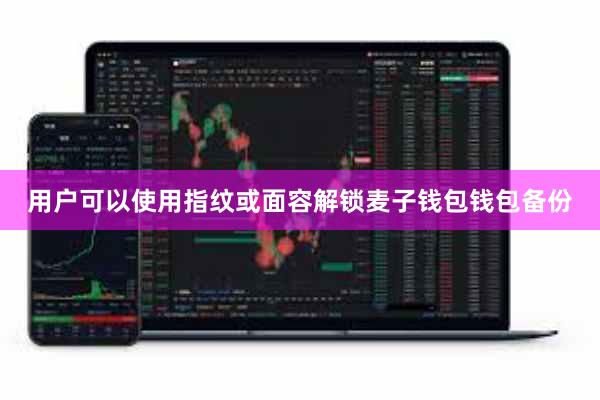 用户可以使用指纹或面容解锁麦子钱包钱包备份