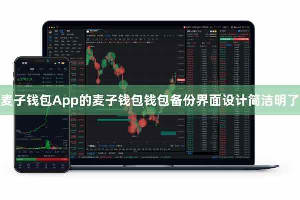 麦子钱包App的麦子钱包钱包备份界面设计简洁明了