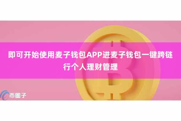 即可开始使用麦子钱包APP进麦子钱包一键跨链行个人理财管理