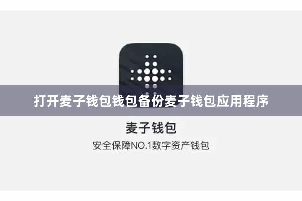 打开麦子钱包钱包备份麦子钱包应用程序