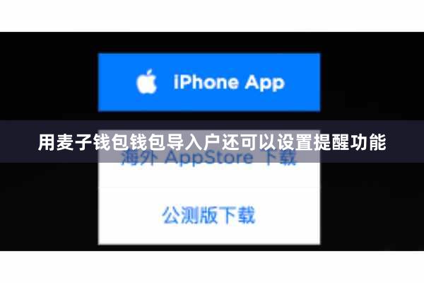 用麦子钱包钱包导入户还可以设置提醒功能