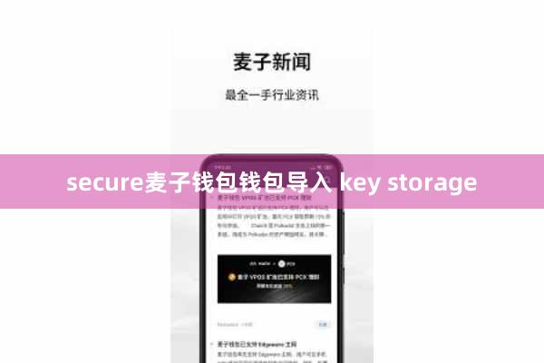 secure麦子钱包钱包导入 key storage