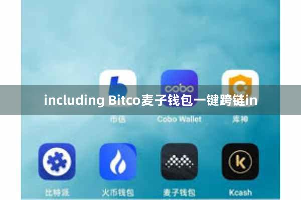 including Bitco麦子钱包一键跨链in
