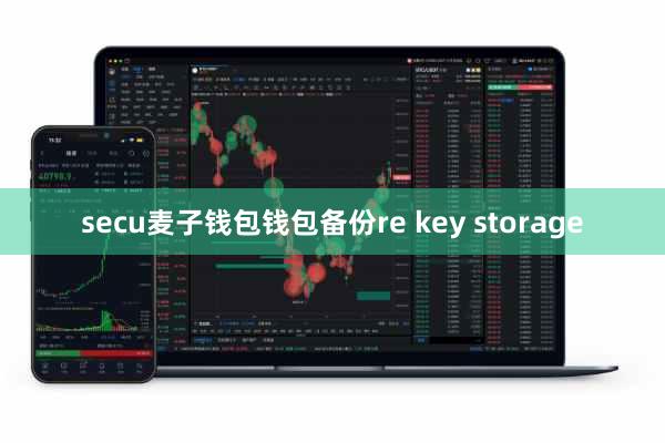 secu麦子钱包钱包备份re key storage