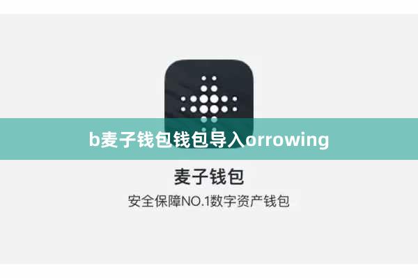 b麦子钱包钱包导入orrowing