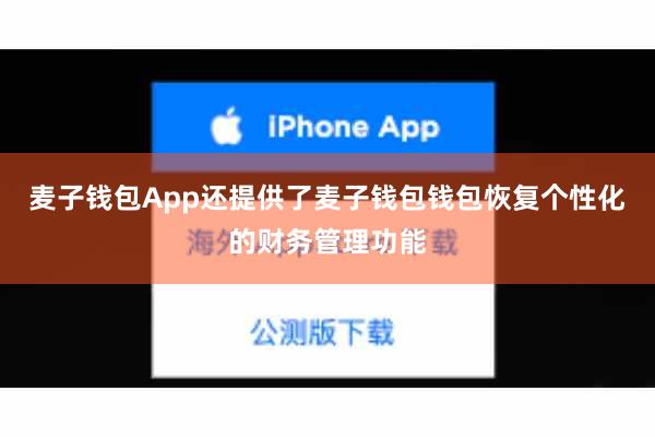 麦子钱包App还提供了麦子钱包钱包恢复个性化的财务管理功能