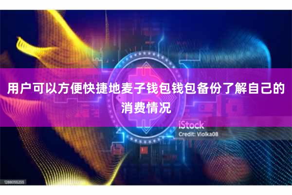 用户可以方便快捷地麦子钱包钱包备份了解自己的消费情况